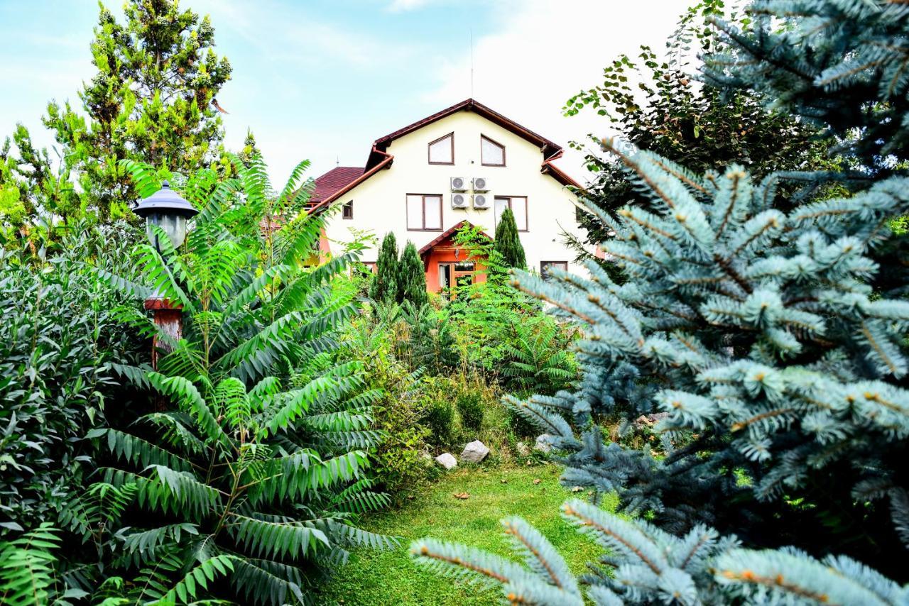 Casa Moteasca Mihai Viteazu (Cluj) Exterior foto