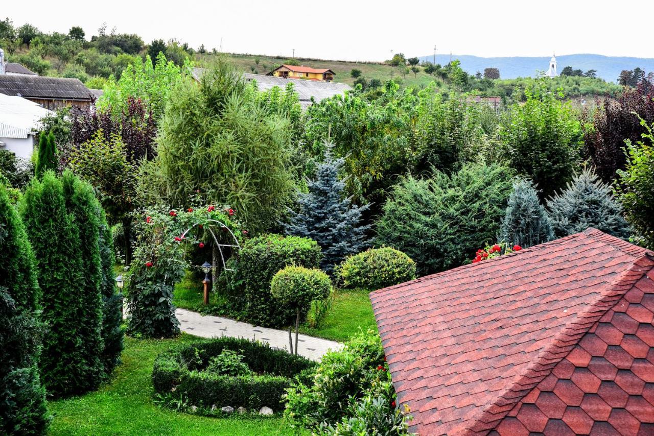 Casa Moteasca Mihai Viteazu (Cluj) Exterior foto